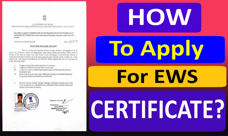 EWS Certificate Application Form How To Apply For EWS Certificate 